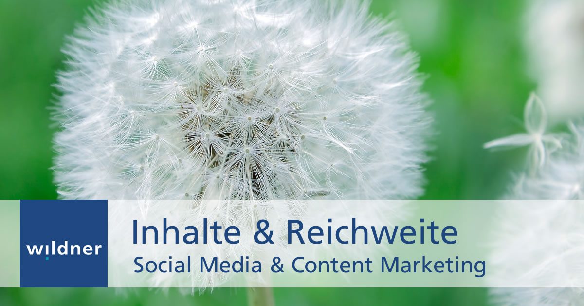 Weiterbildung Social Media & Content Marketing: Inhalte & Reichweite